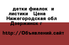 детки фиалок  и листики › Цена ­ 60 - Нижегородская обл., Дзержинск г.  »    